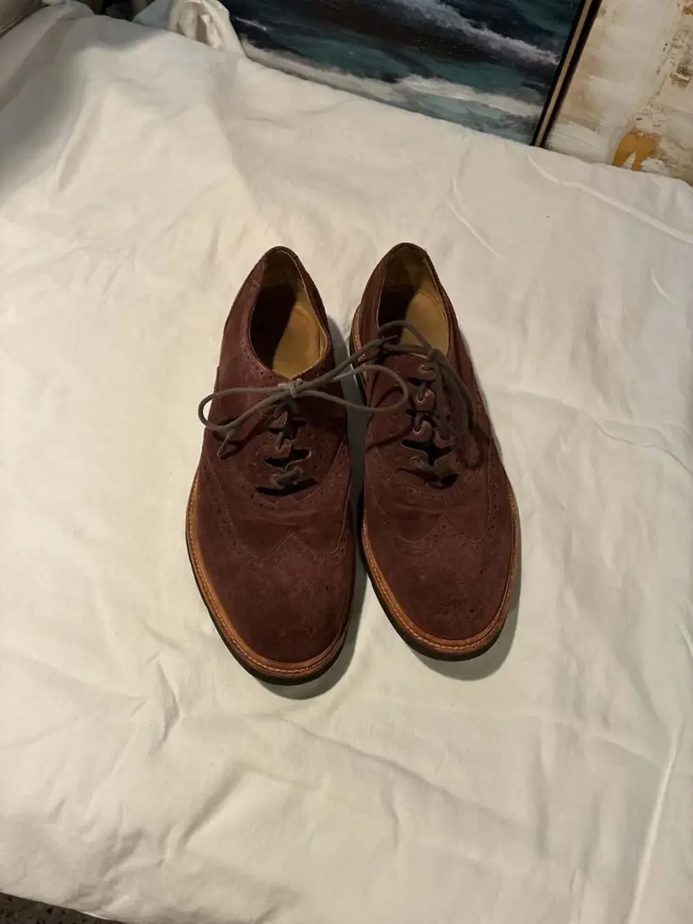 Cole Haan Christy Wedge Gilley Men's Suede Wingtip Oxford Shoes